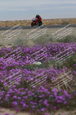 media/Jan-14-2023-SoCal Trackdays (Sat) [[497694156f]]/Turn 14 Exit Bloomig (145pm)/